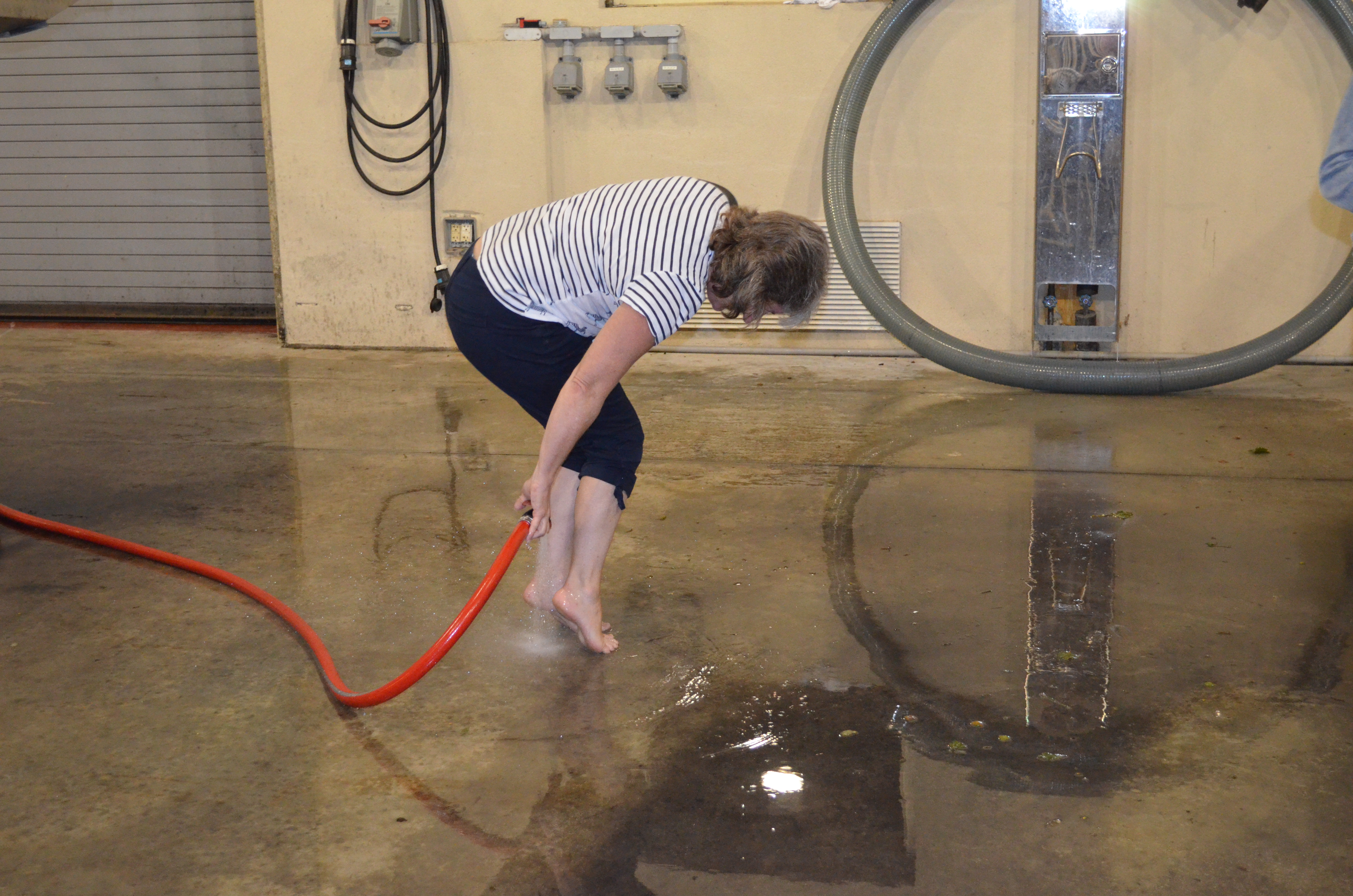 ./2015/23 - Grape Stomp/DSC_0650.JPG